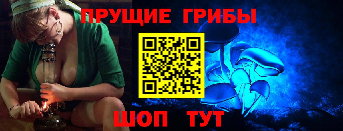 Галлюциногенные грибы прущие грибы  Вход с VPN  Фролово 